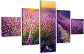 Schilderij - Lavendelveld, 5luik, premium print