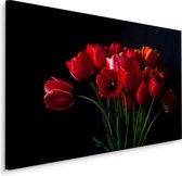 Schilderij - Rode tulpen zwarte achtergrond, premium print