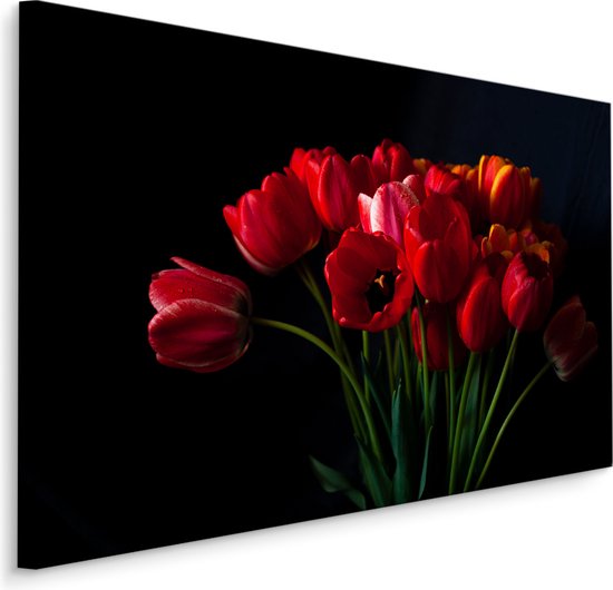 Schilderij - Rode tulpen zwarte achtergrond, premium print