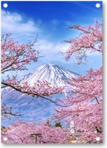 Fuji-berg en kersenbloesems in de lente, Japan - Tuinposter 50x70 - Wanddecoratie - Besteposter - Landschap