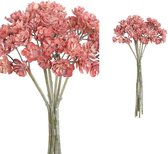 PTMD Succulent Plant Vetkruid Bos Kunsttak - 12 x 16 x 27 cm - Roze