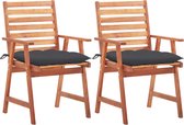 Decoways - Tuinstoelen 2 stuks met kussens massief acaciahout