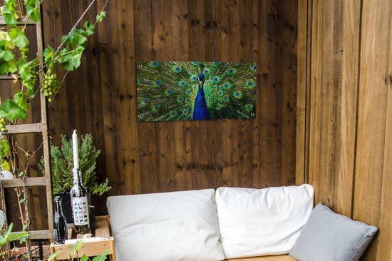 Affiche de jardin Paon - Ressorts - Yeux - 80x40 cm