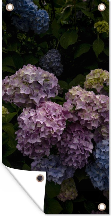 Wanddecoratie buiten Bloeiende hortensia struiken in de tuin - 80x160 cm - Tuindoek - Buitenposter