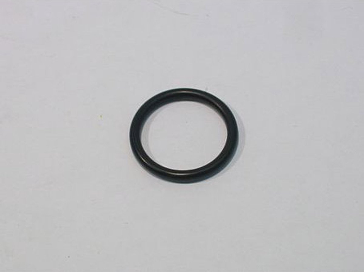 O-ring 18.3-2.3 (50620)