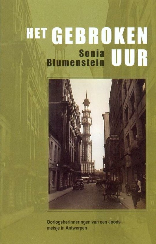 Cover van het boek 'Het gebroken uur' van S. Blumenstein