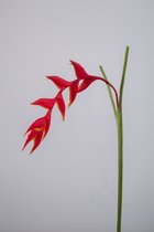 Kunstbloem - Heliconia - topkwaliteit decoratie - 2 stuks - zijden bloem - Rood - 150 cm hoog
