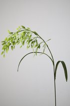Kunsttak - Chasmantium - topkwaliteit decoratie - 2 stuks - zijden plant - Wit - 90 cm hoog