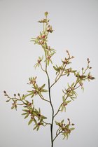 Kunstbloem - Orchidee - topkwaliteit decoratie - 2 stuks - zijden tak - Groen - 97 cm hoog