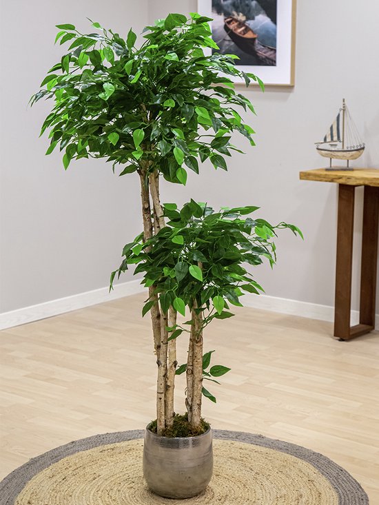 Kamyra® Ficus Kunstplant - Planten Ficus Groot - Plant Voor En -... | bol.com