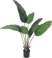 FloriaFor - Strelitzia Kunstplant - - ↨ 120cm - ⌀ 15cm