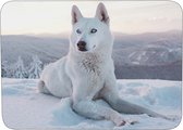 Muismat wolf in sneeuw Rubber - Hoge kwaliteit foto van wolf in de sneeuw - Muismat op polyester bedrukt - 25 x 19 cm - Anti-slip muismat - 5mm dik - Muismat met foto - heerlijk voor op je bureau
