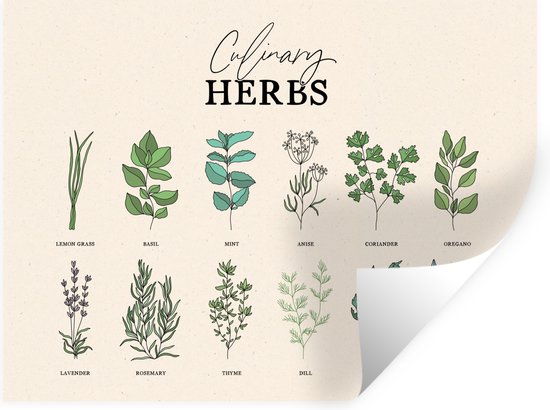 Stickers Stickers muraux - Cuisine - Plantes - Herbes - 40x30 cm - Feuille adhésive - Cadeau Saint Valentin femme - Cadeau pour femme