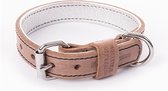 Halsband voor hond  dakota leer paars 25 mmx45 cm