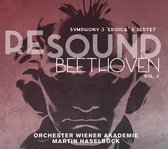 Orchester Wiener Akademie & Martin Haselbock - Resound Beethoven Vol.4 (2 CD)