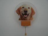 Wandlamp moon labrador retriever - moonlamp - wandlamp hond - muurlamp hond - ronde wandlamp - dierenlamp - Wandlamp binnen