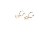 Essential Collectie Ava | Oorbellen met hanger - Goudkleurig stainless steel oorbellen met kristallen hanger -  oorbellen voor dames
