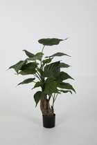 Alocasia Cucullata - kunstplant - aronskelk - zijdenplant - kamerplant - 75 cm hoog