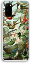 CaseCompany® - Galaxy S20 hoesje - Haeckel Trochilidae - Soft Case / Cover - Bescherming aan alle Kanten - Zijkanten Transparant - Bescherming Over de Schermrand - Back Cover