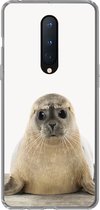 Geschikt voor OnePlus 8 hoesje - Zeehond - Dieren - Kind - Jongens - Meisjes - Kinderen - Siliconen Telefoonhoesje