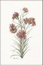 Walljar - Dianthus - Muurdecoratie - Poster