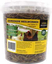 Gedroogde meelwormen (1,2 LTR)