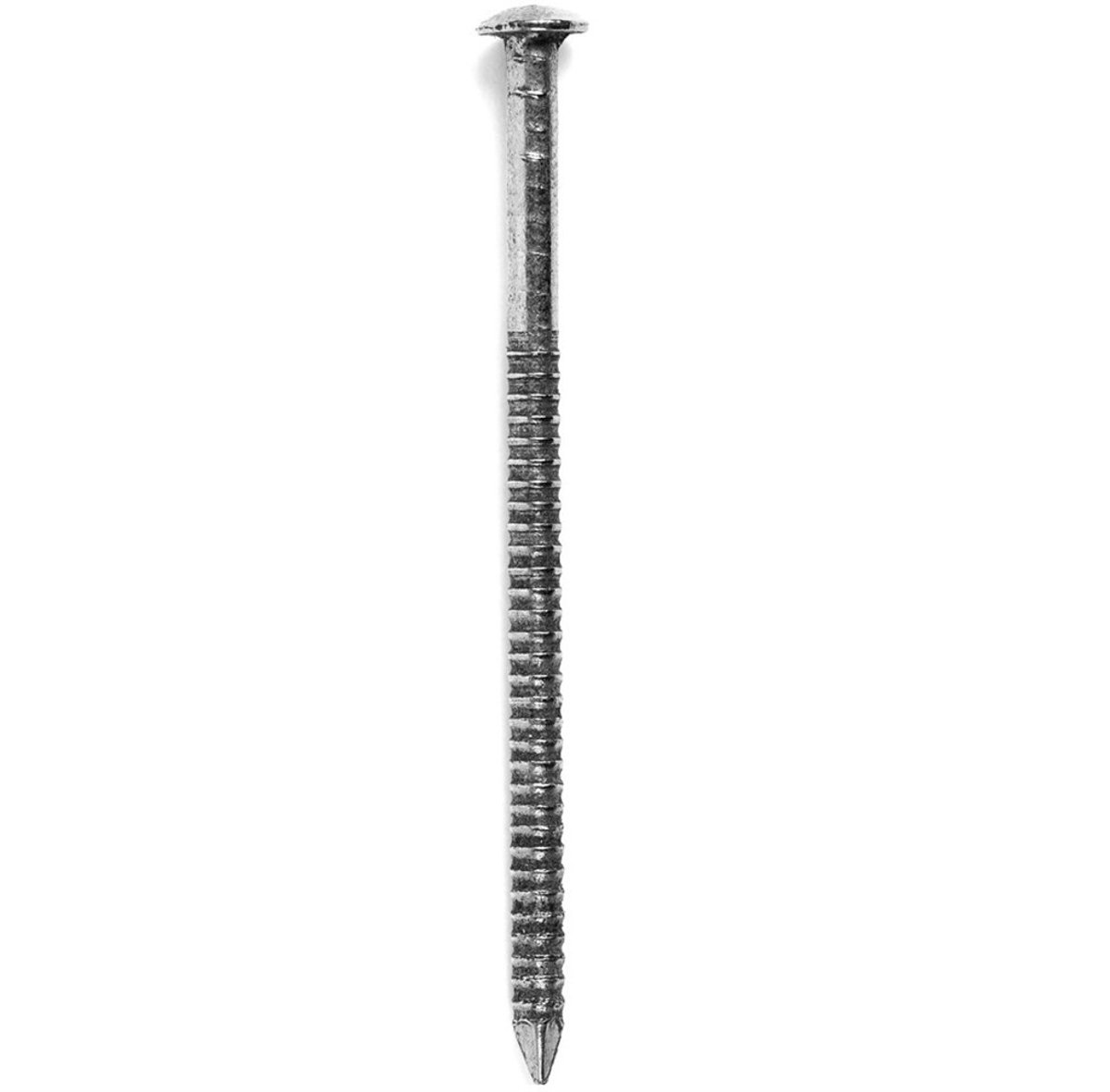 Ringnagel Bk 2.6x50mm RVS 1kg