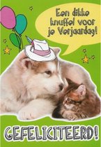 Een dikke knuffel voor je verjaardag! Een kleurrijke en grappige wenskaart met een lieve hond naast een schattige kat. Een dubbele wenskaart inclusief envelop en in folie verpakt.