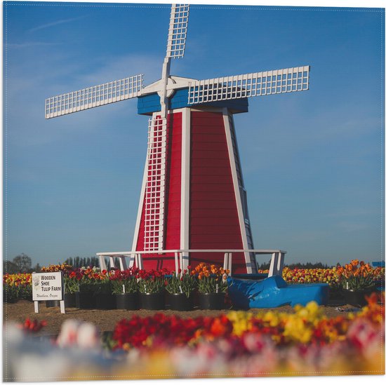 Vlag - Rode Windmolen in een Tulpenveld - 50x50 cm Foto op Polyester Vlag