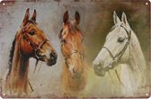 Wandbord – Mancave – Paarden - Horse – Vintage - Retro - Wanddecoratie – Reclame bord – Restaurant – Kroeg - Bar – Cafe - Horeca – Metal Sign - Pin Up Girl - 20x30cm