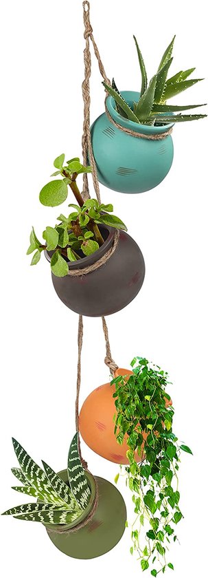 Pots décoratifs pour plantes grasses d'intérieur –