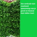 Afbeelding nummer  11