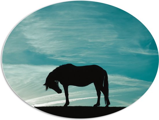 PVC Schuimplaat Ovaal - Silhouet van Buigend Paard onder Stralend Blauwe Lucht - 108x81 cm Foto op Ovaal (Met Ophangsysteem)