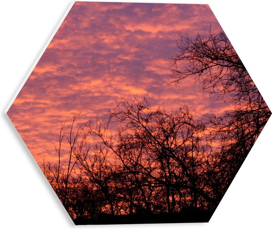 PVC Schuimplaat Hexagon - Silhouet van Bomen onder Roze met Paarse Lucht - 30x26.1 cm Foto op Hexagon (Met Ophangsysteem)