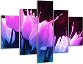 Glasschilderij -  Tulp - Paars, Roze, Blauw - 100x70cm 5Luik - Geen Acrylglas Schilderij - GroepArt 6000+ Glasschilderijen Collectie - Wanddecoratie- Foto Op Glas