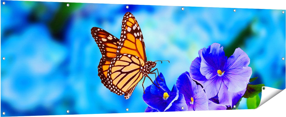 Gards Tuinposter Oranje Vlinder bij Paarse Bloemen - 210x70 cm - Tuindoek - Tuindecoratie - Wanddecoratie buiten - Tuinschilderij Multikleur