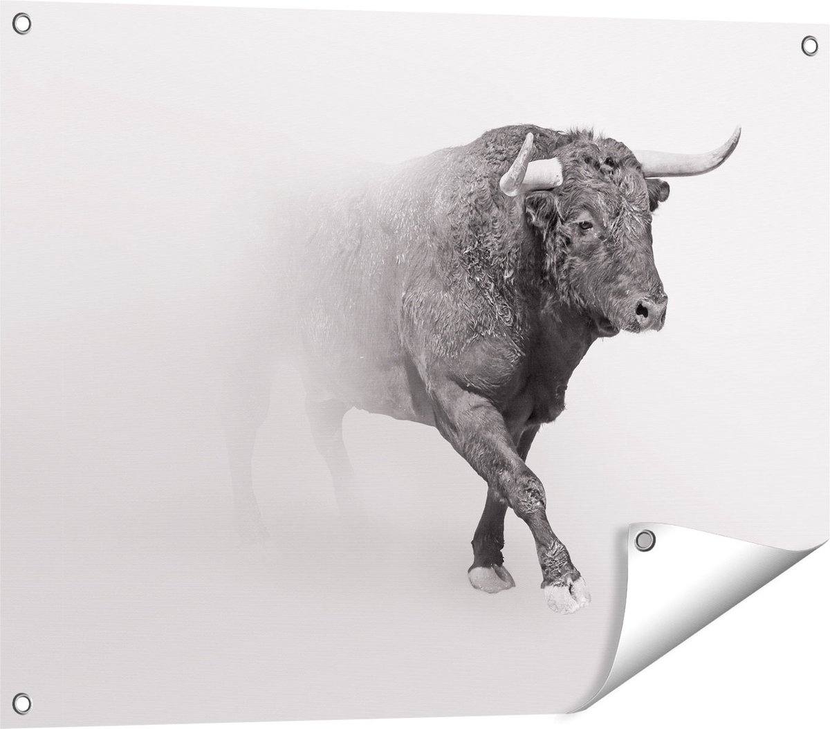 Gards Tuinposter Stier op een Grijze Achtergrond - Zwart Wit - 80x60 cm - Tuindoek - Tuindecoratie - Wanddecoratie buiten - Tuinschilderij Multikleur
