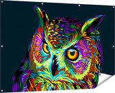 Gards Affiche de jardin Chouette colorée - Abstrait - 150x100 cm - Toile jardin - Décoration de jardin - Décoration murale extérieur - Tableau jardin
