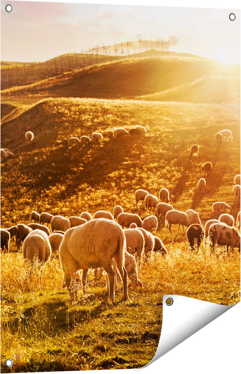 Gards Tuinposter Schapen in de Heuvels bij Zonsondergang - 60x80 cm - Tuindoek - Tuindecoratie - Wanddecoratie buiten - Tuinschilderij Multikleur