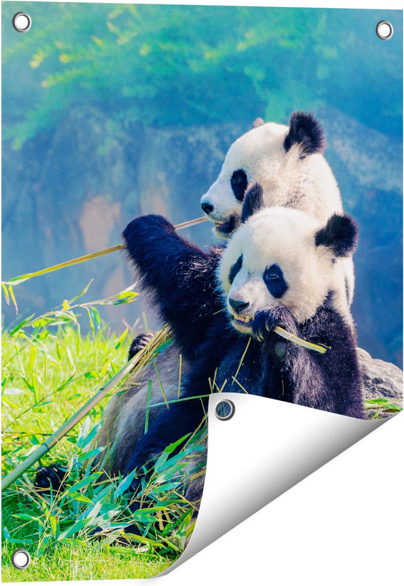 Gards Tuinposter Twee Panda's Eten Bamboe Riet - 40x50 cm - Tuindoek - Tuindecoratie - Wanddecoratie buiten - Tuinschilderij Multikleur