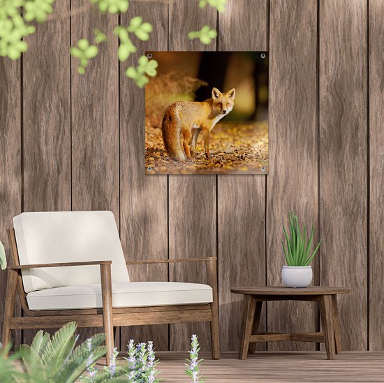 Gards Tuinposter Vos in het Herfstbos - 50x50 cm - Tuindoek - Tuindecoratie - Wanddecoratie buiten - Tuinschilderij