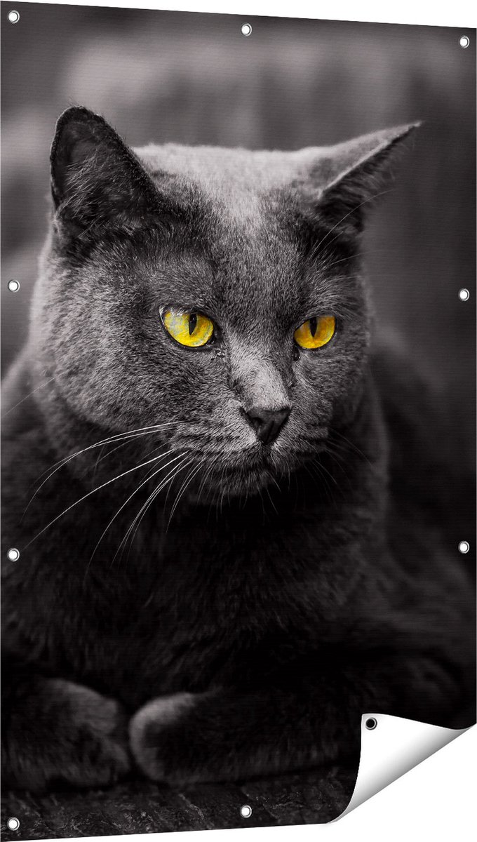 Gards Tuinposter Zwarte Kat met Gele Ogen - 80x120 cm - Tuindoek - Tuindecoratie - Wanddecoratie buiten - Tuinschilderij Multikleur
