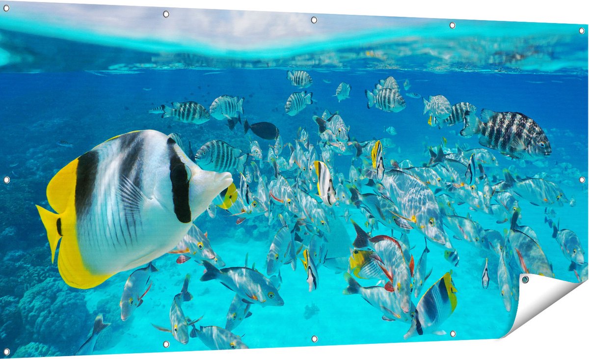 Gards Tuinposter Zwerm Gele Vissen in het Water - 180x90 cm - Tuindoek - Tuindecoratie - Wanddecoratie buiten - Tuinschilderij Multikleur