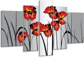 Glasschilderij Tulp - Oranje, Zwart, Grijs - 170x100cm 5Luik - Foto Op Glas - Geen Acrylglas Schilderij - 6000+ Glasschilderijen Collectie - Wanddecoratie