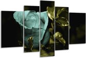 Glasschilderij Roos - Blauw, Zwart, Groen - 170x100cm 5Luik - Foto Op Glas - Geen Acrylglas Schilderij - 6000+ Glasschilderijen Collectie - Wanddecoratie