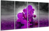 GroepArt - Glasschilderij - Orchidee - Paars, Grijs - 160x80cm 4Luik - Foto Op Glas - Geen Acrylglas Schilderij - 6000+ Glasschilderijen Collectie - Wanddecoratie