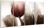 GroepArt - Glasschilderij - Tulpen - Bruin, Wit, Grijs - 160x80cm 4Luik - Foto Op Glas - Geen Acrylglas Schilderij - 6000+ Glasschilderijen Collectie - Wanddecoratie