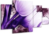 GroepArt - Schilderij -  Tulpen - Paars, Wit - 160x90cm 4Luik - Schilderij Op Canvas - Foto Op Canvas