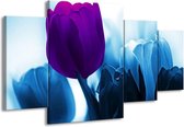 GroepArt - Schilderij -  Tulp - Paars, Blauw, Wit - 160x90cm 4Luik - Schilderij Op Canvas - Foto Op Canvas