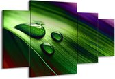 GroepArt - Schilderij -  Druppel - Groen, Wit, Paars - 160x90cm 4Luik - Schilderij Op Canvas - Foto Op Canvas